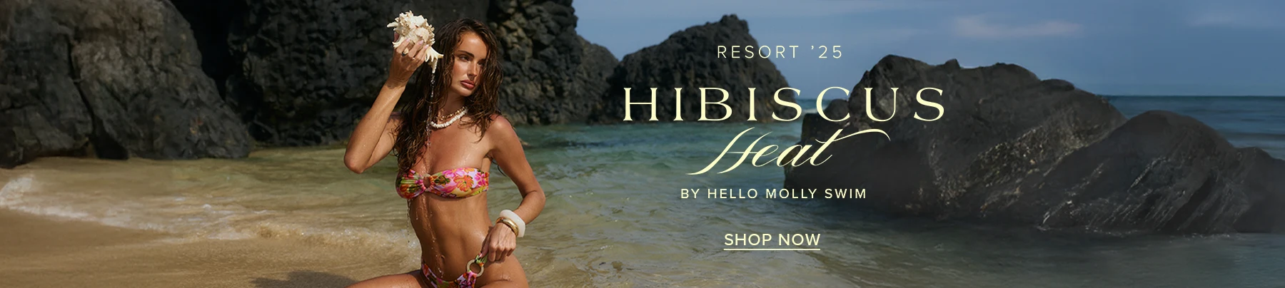 AU DESKTOP - SUB BANNER